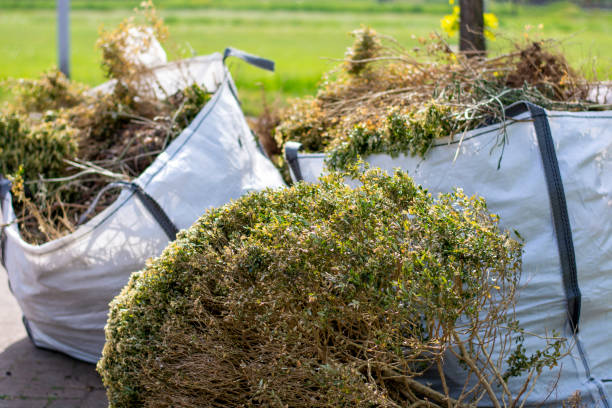 Best Yard Cleanup Services  in Snowmass Village, CO